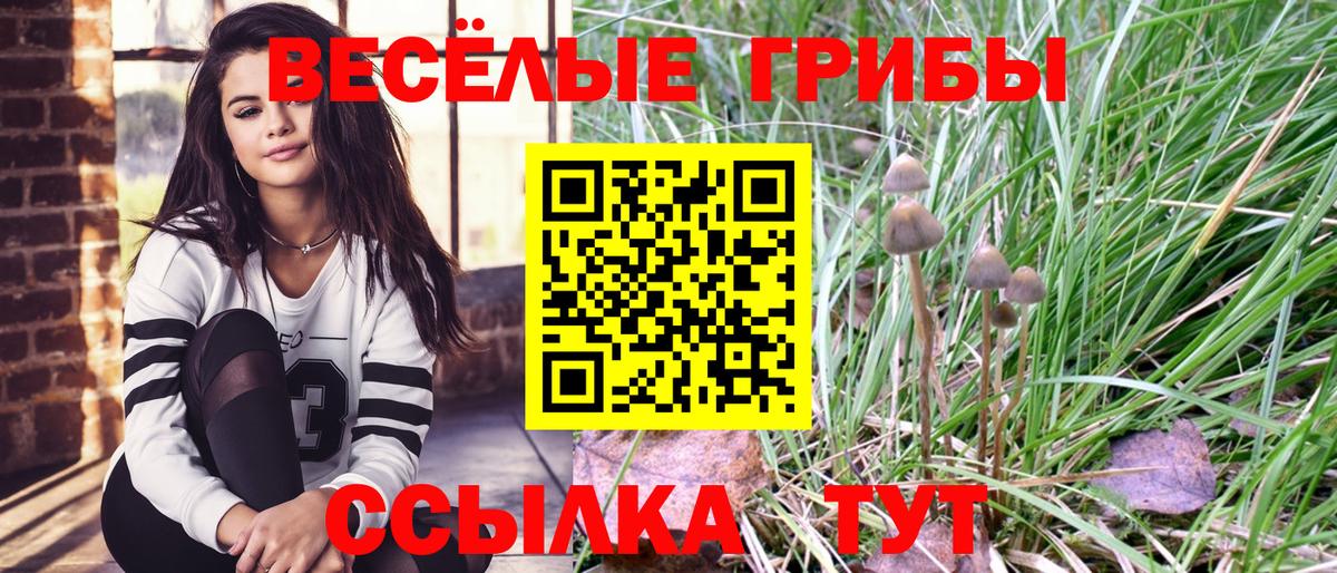 MDMA Котлас