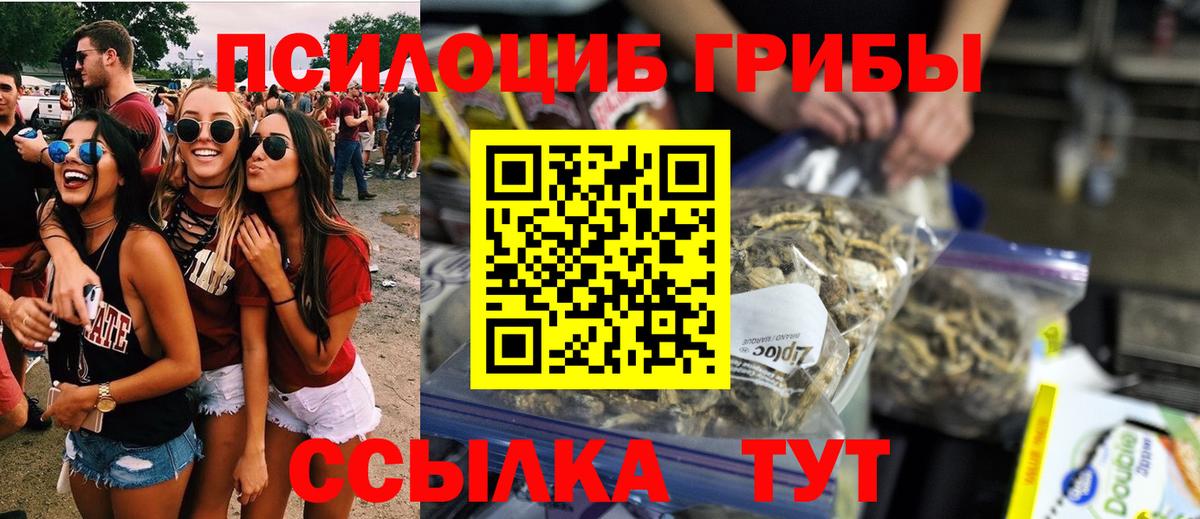 Псилоцибиновые грибы Psilocybine cubensis  Вход с VPN  Котлас 