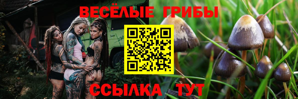 Галлюциногенные грибы MAGIC MUSHROOMS Котлас